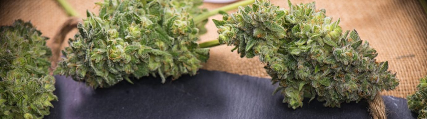 Top CBD Brands for Sleep